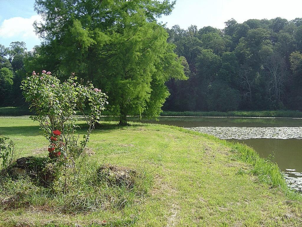 Tuffé Chateau De Cheronne B&B 외부 사진