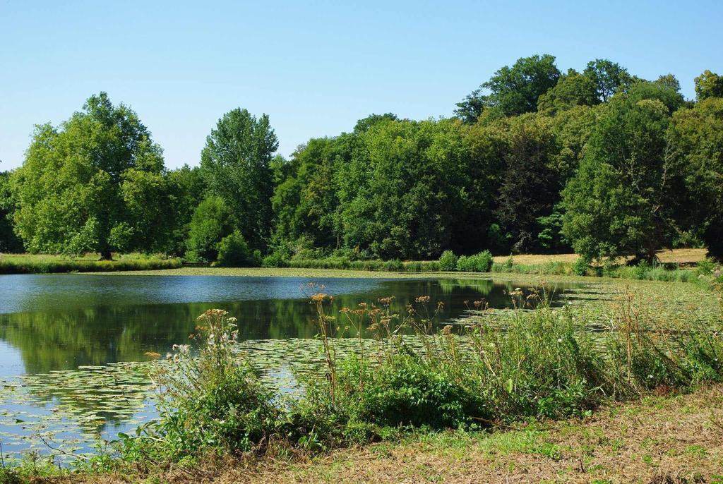 Tuffé Chateau De Cheronne B&B 외부 사진
